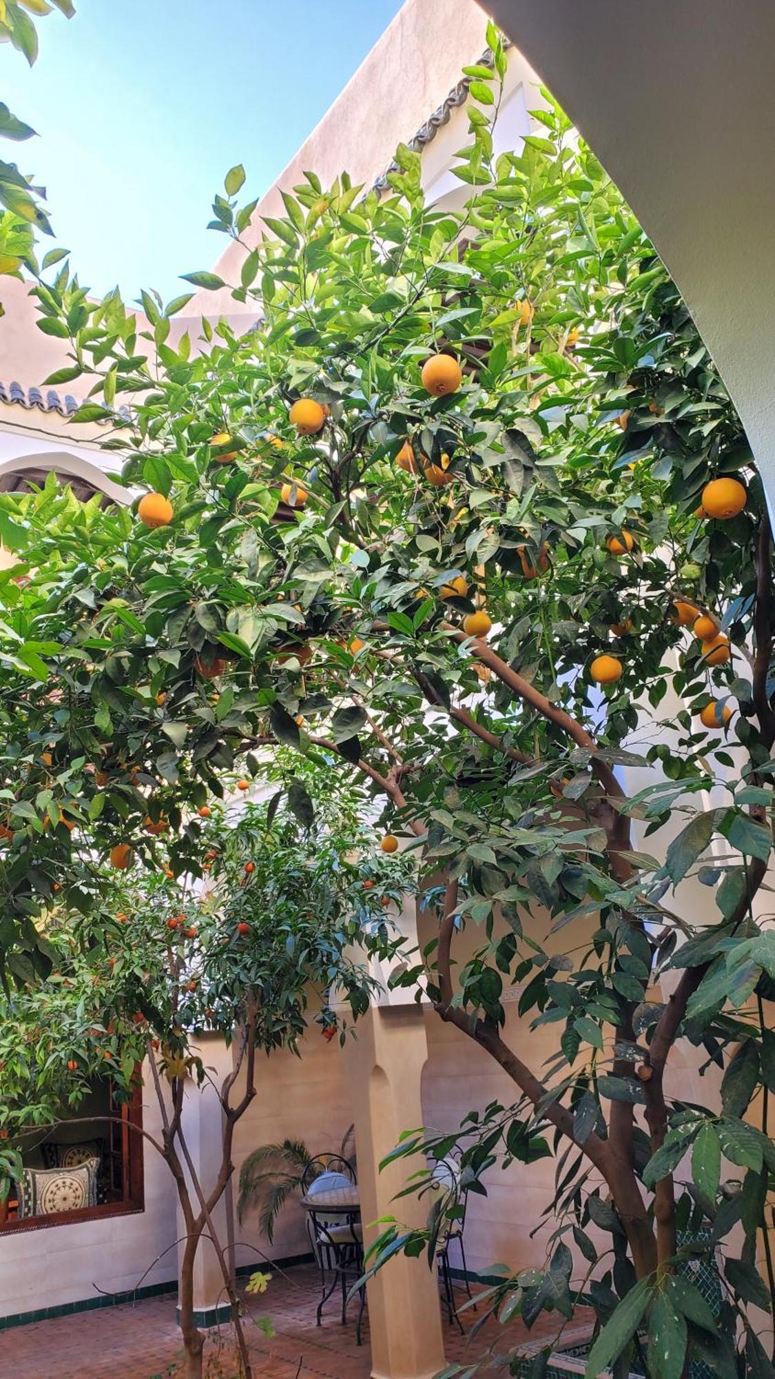 Riad Tidar By Phoenix Marakeş Dış mekan fotoğraf