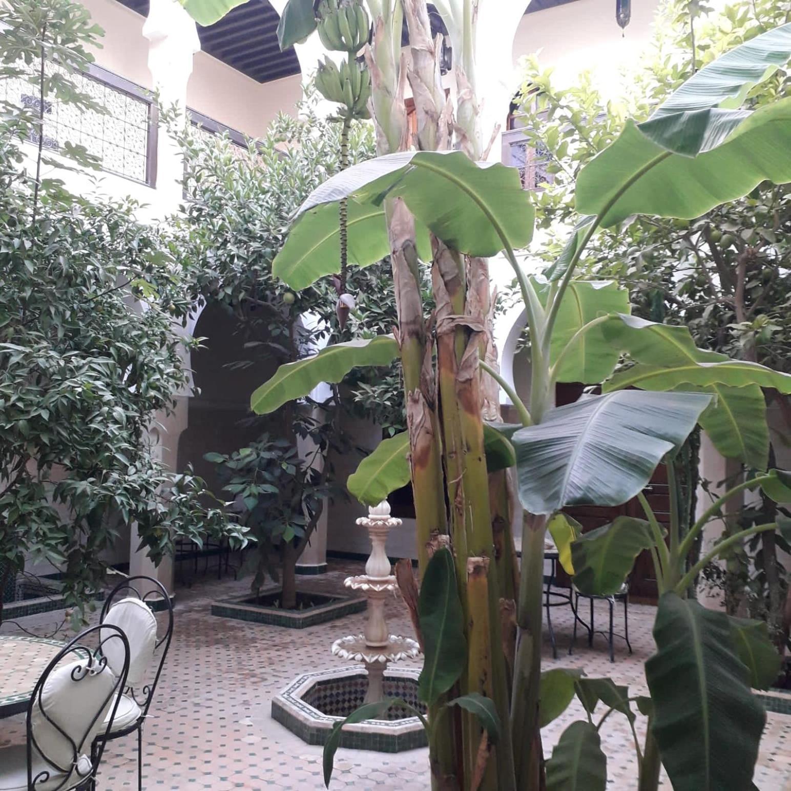 Riad Tidar By Phoenix Marakeş Dış mekan fotoğraf